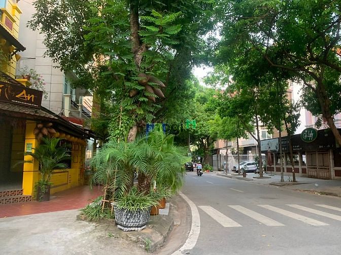 Bán gấp biệt thự lô góc, mặt phố kinh doanh khủng Kđt Mỹ Đình 2. 228m2