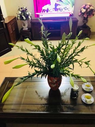 Bán nhà hẻm ô tô Nam Kỳ Khởi Nghĩa, Quận 3 – 6,6x16m, 3T- Giá 14,5 tỷ