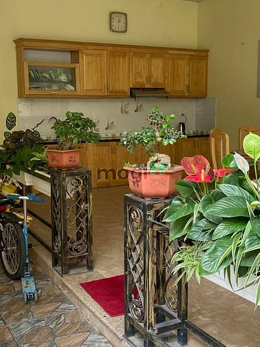 Siêu Hiếm Hoàng Quốc Việt Gara 2 Thoáng Oto tránh 140mx4T MT 8m 19.8