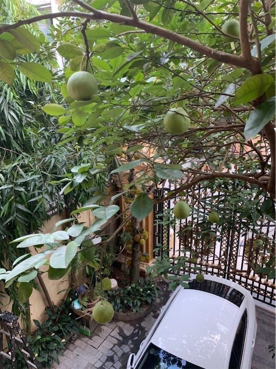 BIỆT THỰ ĐÔI QUẢNG AN ĐẲNG CẤP BẬC NHẤT TÂY HỒ