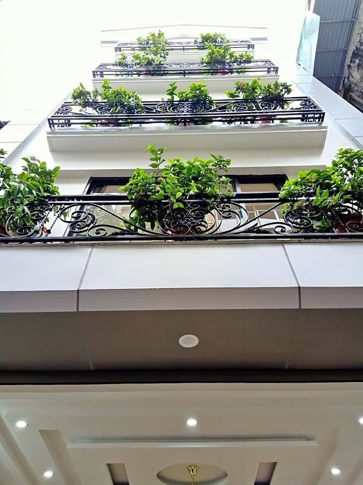 Bán Nhà 5 Tầng Phân Lô Nguyên Hồng Đống Đa, 50m2, MT 4m, Ô Tô Tránh, Giá 12.5 Tỷ