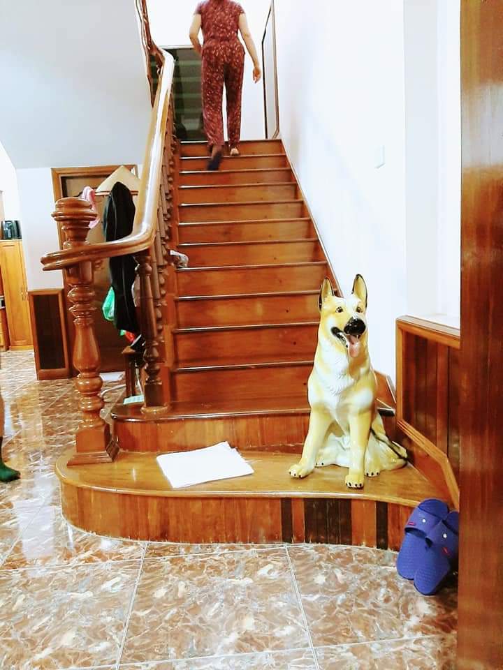Biệt thự phố Vương Thưà Vũ-gara ô tô kinh doanh văn phòng,spa-30m ra mặt phố-132m x 4t nhỉnh 14 tỷ
