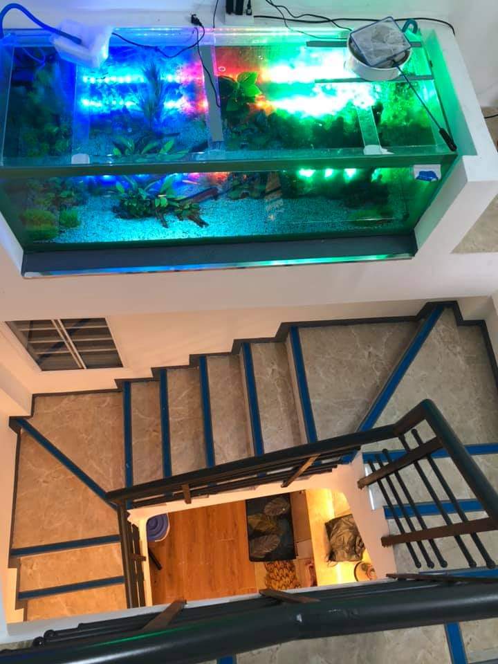 45m2