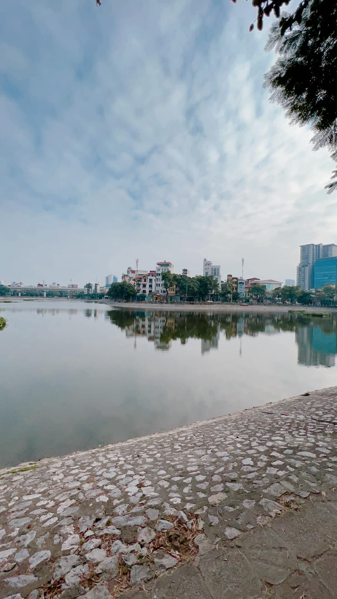 Bán nhà mới mặt phố Mai Anh Tuấn Đống Đa view hồ, tầng hầm, thang máy giá 27,5 tỷ