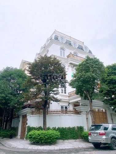 Bán gấp BT đẳng cấp KĐTM Dịch Vọng, Cầu Giấy, 296m2, 4T, MT 16m, 58tỷ.