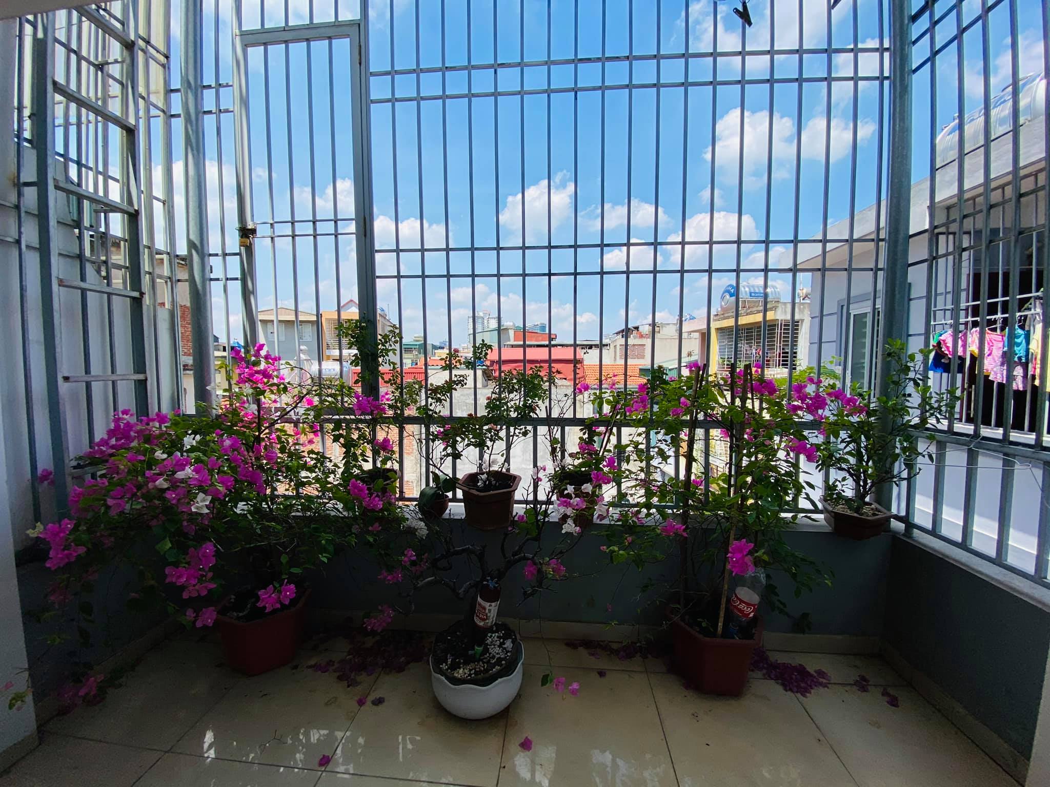 Bán nhà mặt phố Dương Quảng Hàm DT 98m2 x 3 tầng, MT 4.4m giá 19 tỷ kinh doanh sầm uất.