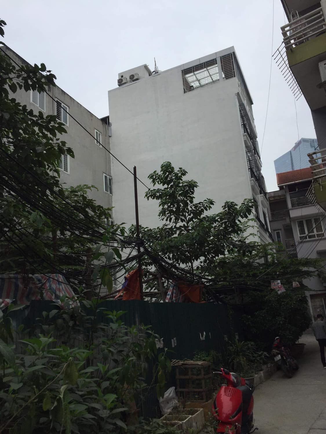 Bán đất Đào Tấn – 110m2 x MT 10m- Giá 16.2 tỷ