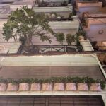  60m2 - 1